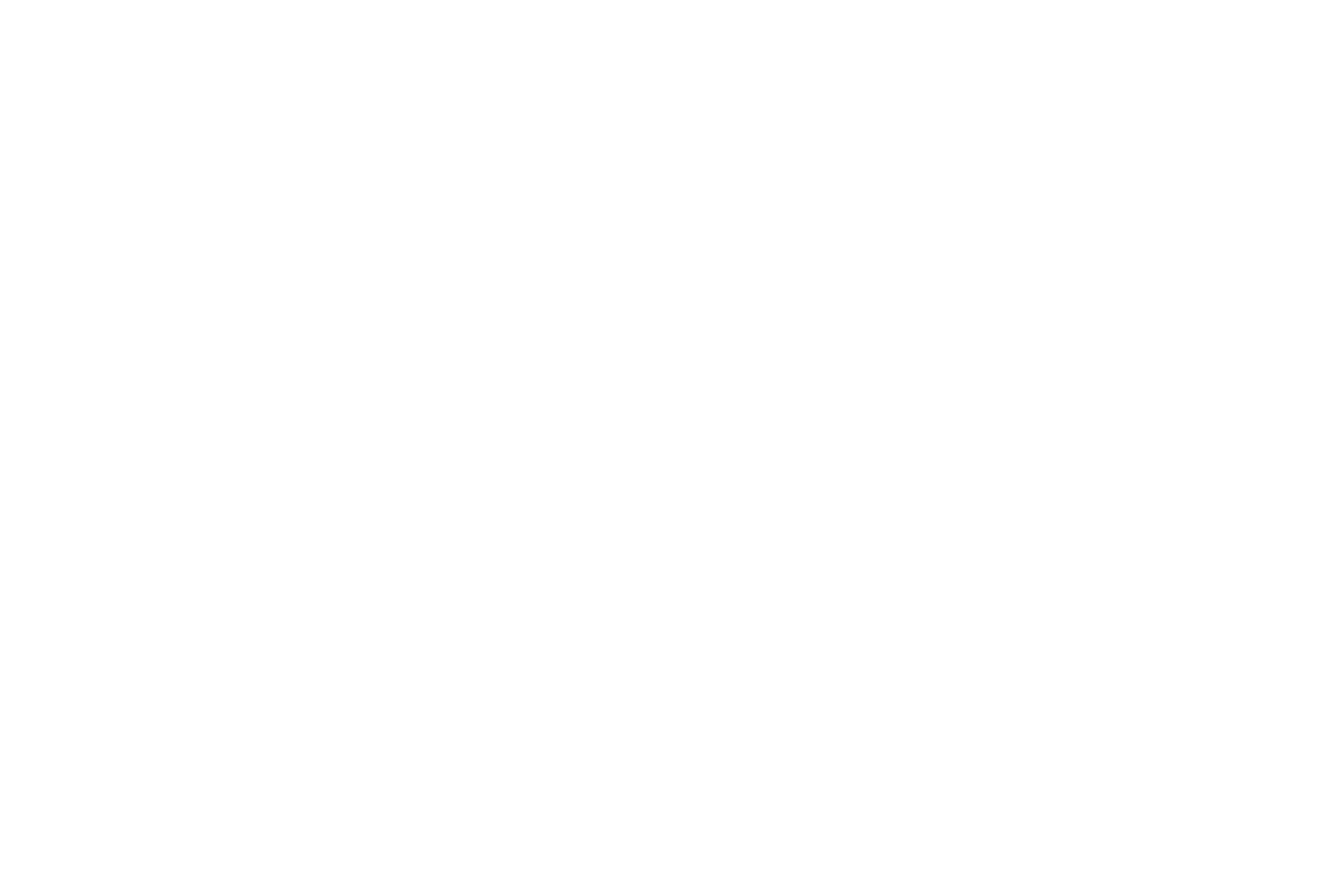 HM-pattern-white-stencil